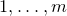1 comma ellipsis comma m