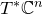upper T Superscript asterisk Baseline double struck upper C Superscript n