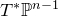 upper T Superscript asterisk Baseline double struck upper P Superscript n minus 1