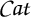 Mathematical term C a t written in a serif italic font.