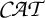 Mathematical expression consisting of the italicized capital letters C A T.