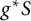 g Superscript asterisk Baseline upper S