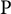 normal upper P