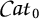 Mathematical term C a t sub 0.