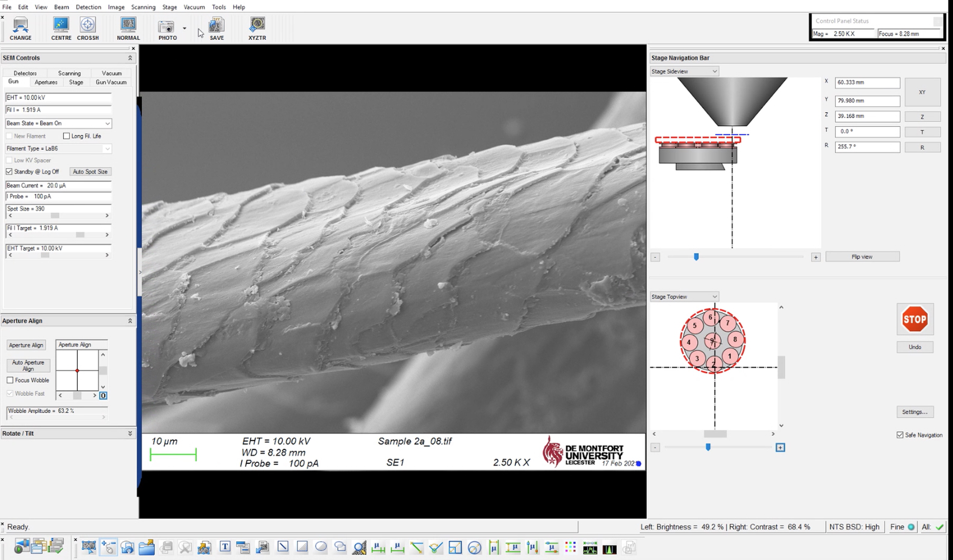 Scanning Electron Microscope (SEM) dashboard displaying a magnified yak fiber.