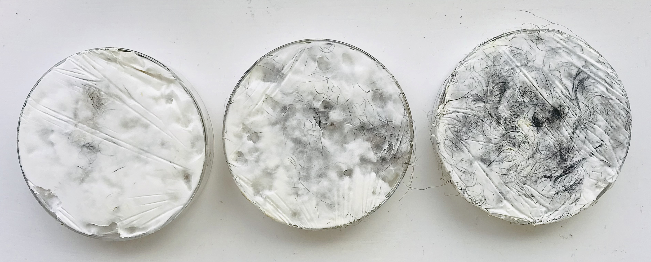 Three circular material samples with varying textures and patterns.