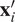 xi prime