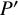 upper P prime
