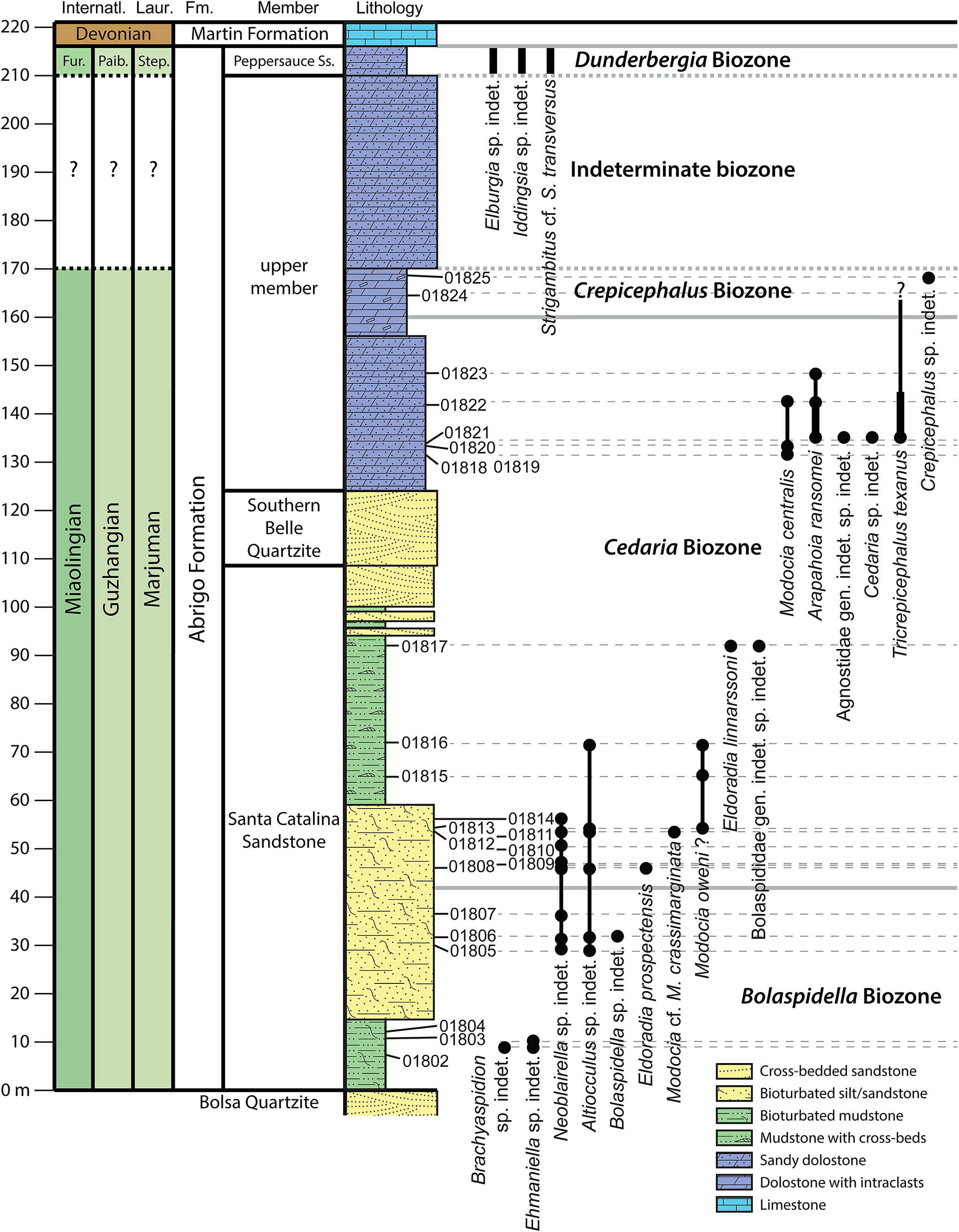 Figure 10