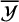 script upper Y overbar