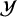 script upper Y
