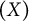 left parenthesis upper X right parenthesis