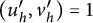 left parenthesis u prime Subscript h Baseline comma v Subscript h Superscript prime Baseline right parenthesis equals 1