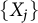 StartSet upper X Subscript j Baseline EndSet
