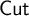 sans serif Cut