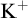 upper K Superscript plus
