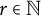 r element of double struck upper N