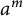 a Superscript m