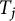 upper T Subscript j