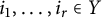 i 1 comma ellipsis comma i Subscript r Baseline element of upper Y
