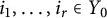 i 1 comma ellipsis comma i Subscript r Baseline element of upper Y 0
