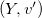 left parenthesis upper Y comma v Superscript prime Baseline right parenthesis