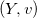 left parenthesis upper Y comma v right parenthesis