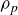 rho Subscript p