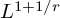 upper L Superscript 1 plus 1 divided by r