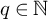 q element of double struck upper N