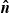ModifyingAbove bold italic n With bold caret