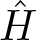 upper H caret