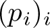 left parenthesis pi right parenthesis i