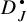 Mathematical term D sub j with a dot above the D.
