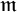 German m