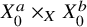upper X 0 Superscript a Baseline times Subscript upper X Baseline upper X 0 Superscript b