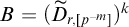 upper B equals left parenthesis upper D overtilde Subscript r comma left bracket p Sub Superscript negative m Subscript right bracket Baseline right parenthesis Superscript k