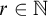 r element of double struck upper N