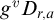 g Superscript v Baseline upper D Subscript r comma a