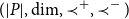 left parenthesis StartAbsoluteValue upper P EndAbsoluteValue comma dimension comma precedes Superscript plus Baseline comma precedes Superscript minus Baseline right parenthesis