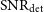 SNR Subscript det