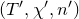 left parenthesis upper T prime comma chi prime comma n Superscript prime Baseline right parenthesis