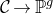 script upper C right arrow double struck upper P Superscript g
