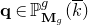 bold q element of double struck upper P Subscript bold upper M Sub Subscript g Superscript g Baseline left parenthesis k overbar right parenthesis