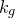 k Subscript g