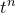 t Superscript n