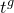 t Superscript g