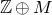 double struck upper Z circled plus upper M