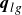bold italic q Subscript l g
