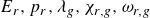 upper E Subscript r Baseline comma p Subscript r Baseline comma lamda Subscript g Baseline comma chi Subscript r comma g Baseline comma omega Subscript r comma g Baseline